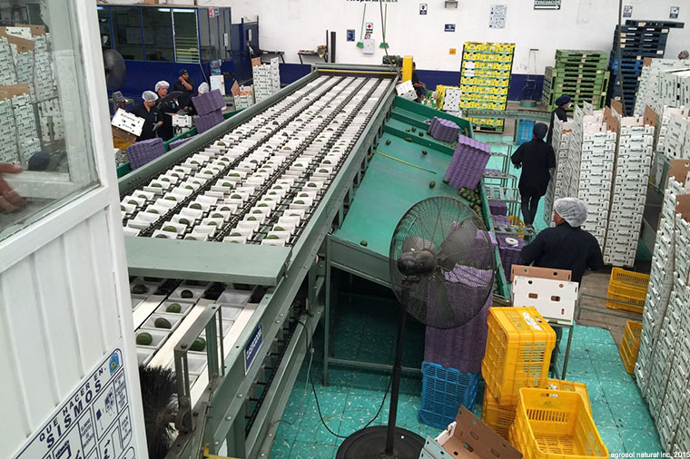 Packing facility
